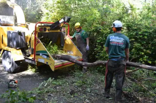 tree services Piedmont